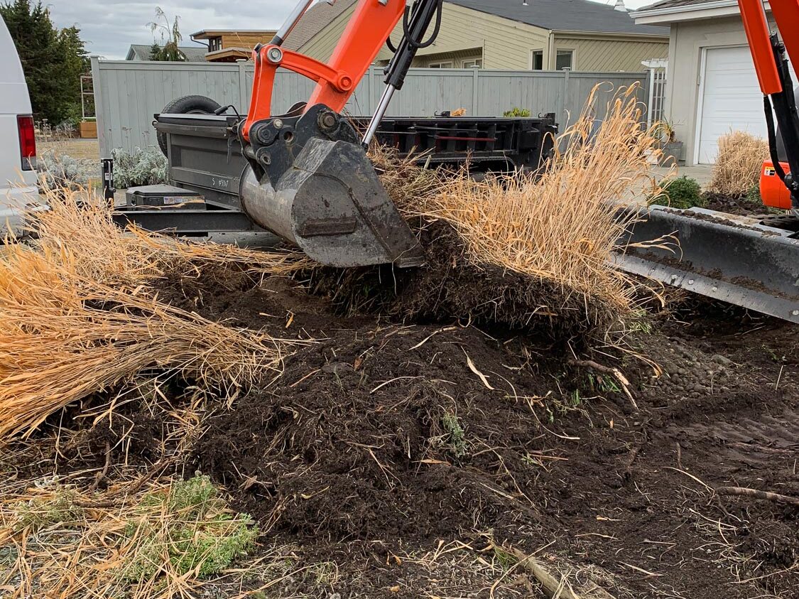 Northwest Lawn Care Landscape & Lawn Maintenance | Whidbey Island